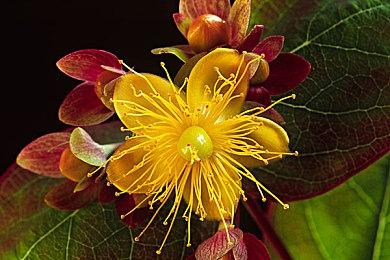 白金工作室射击新游《SolCresta》新演示 确定12月9日发售