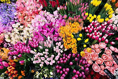 腾讯国漫手游《狐妖小红娘》宣布停运 6月16日关闭服务器